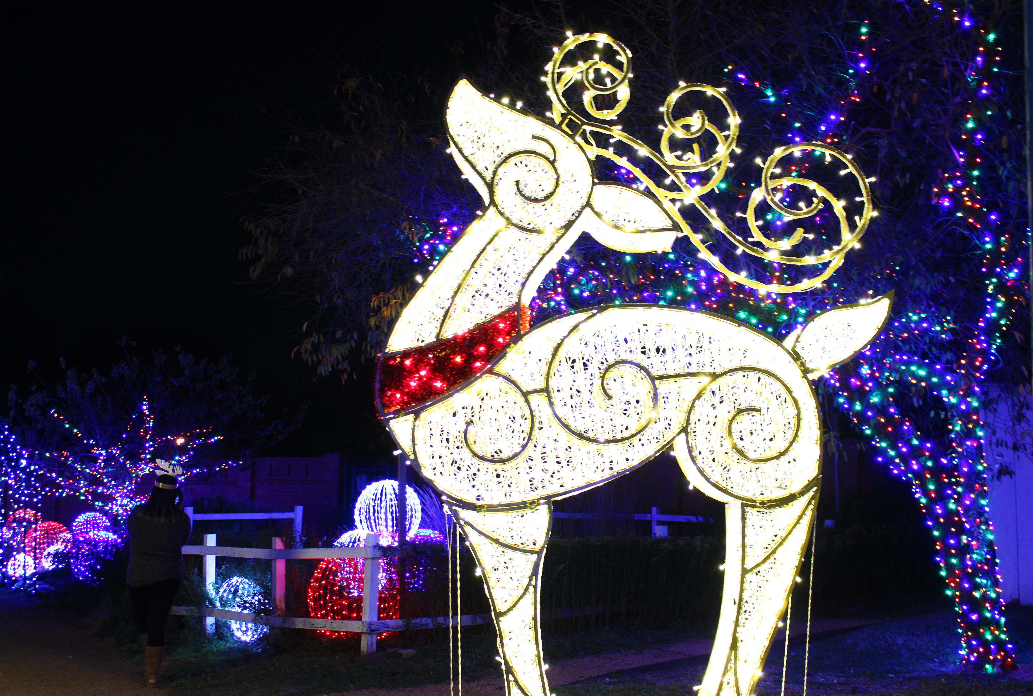 Plano, Texas